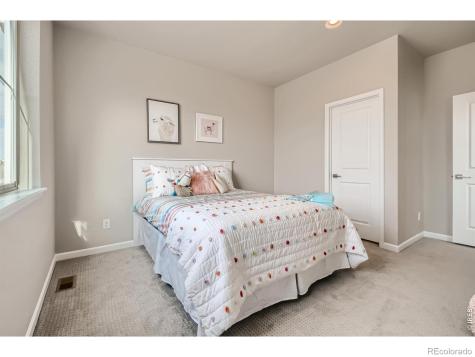 617 Noola Street Windsor CO 80550