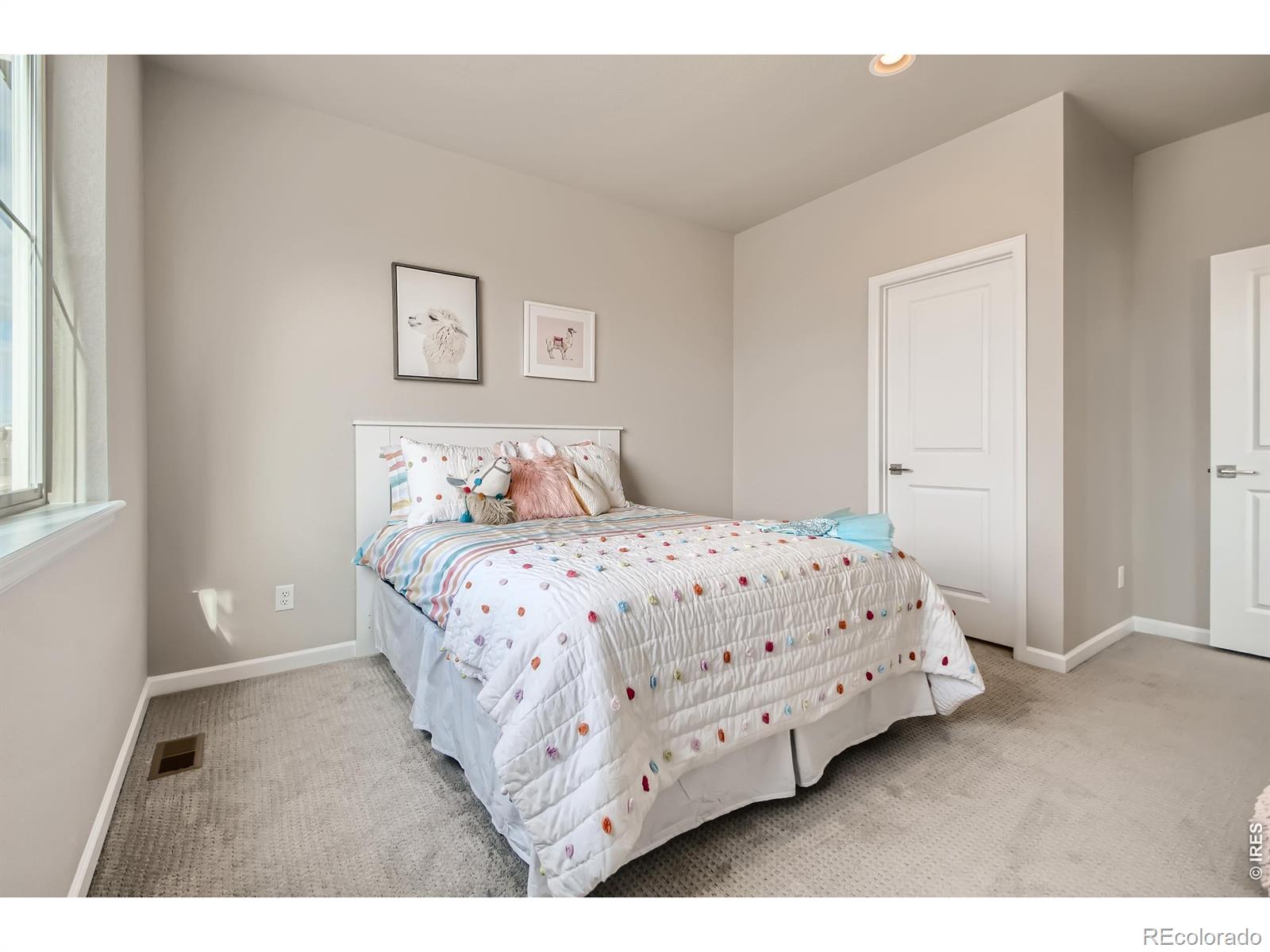 617 Noola Street Windsor CO 80550