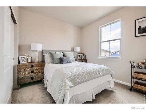 617 Noola Street Windsor CO 80550