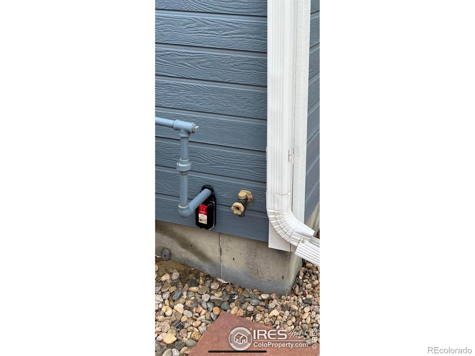 415 Lark Bunting Avenue Loveland CO 80537