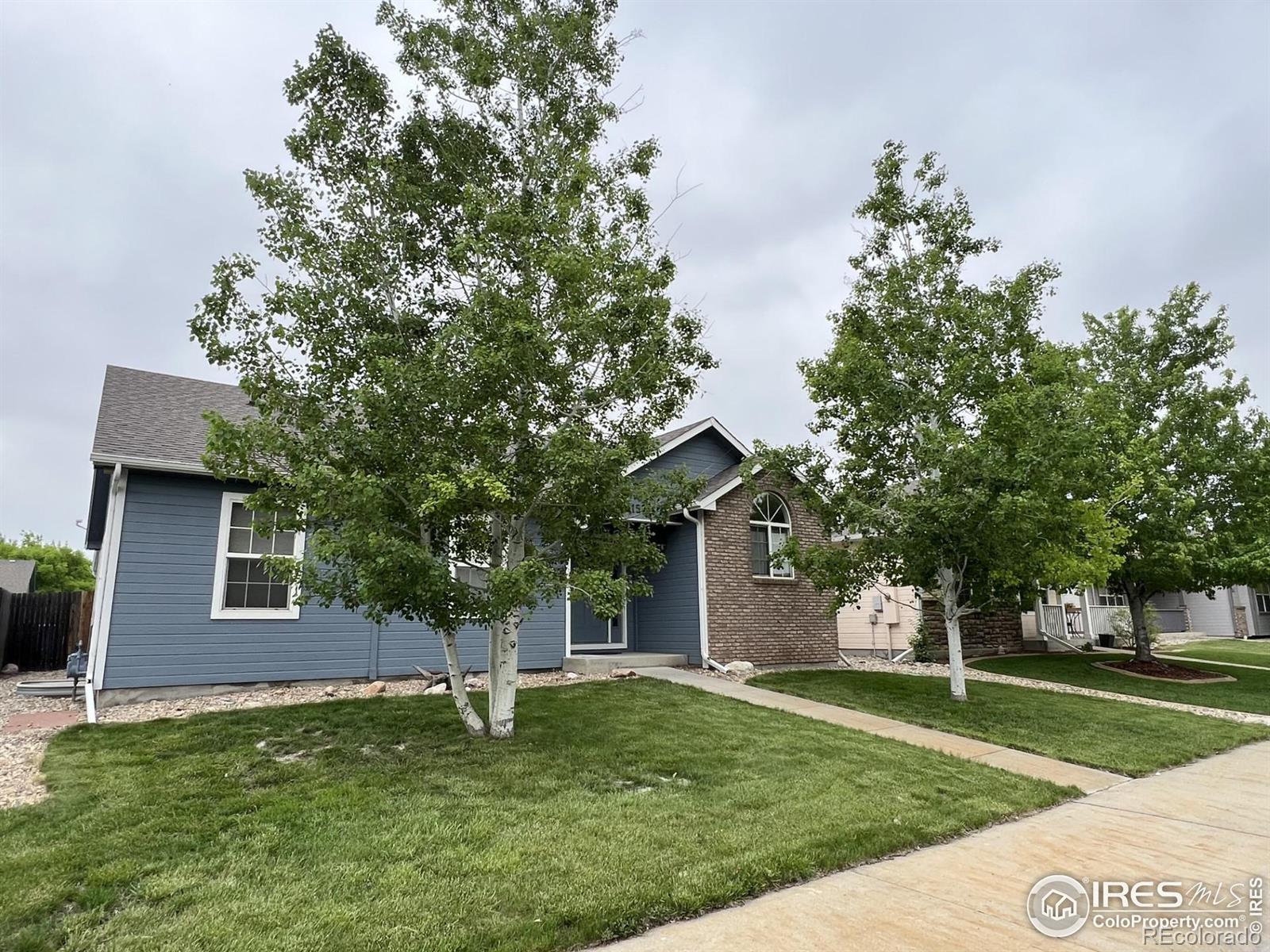 415 Lark Bunting Avenue Loveland CO 80537