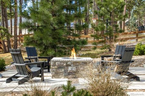 16406 Dancing Bear Lane Monument CO 80132
