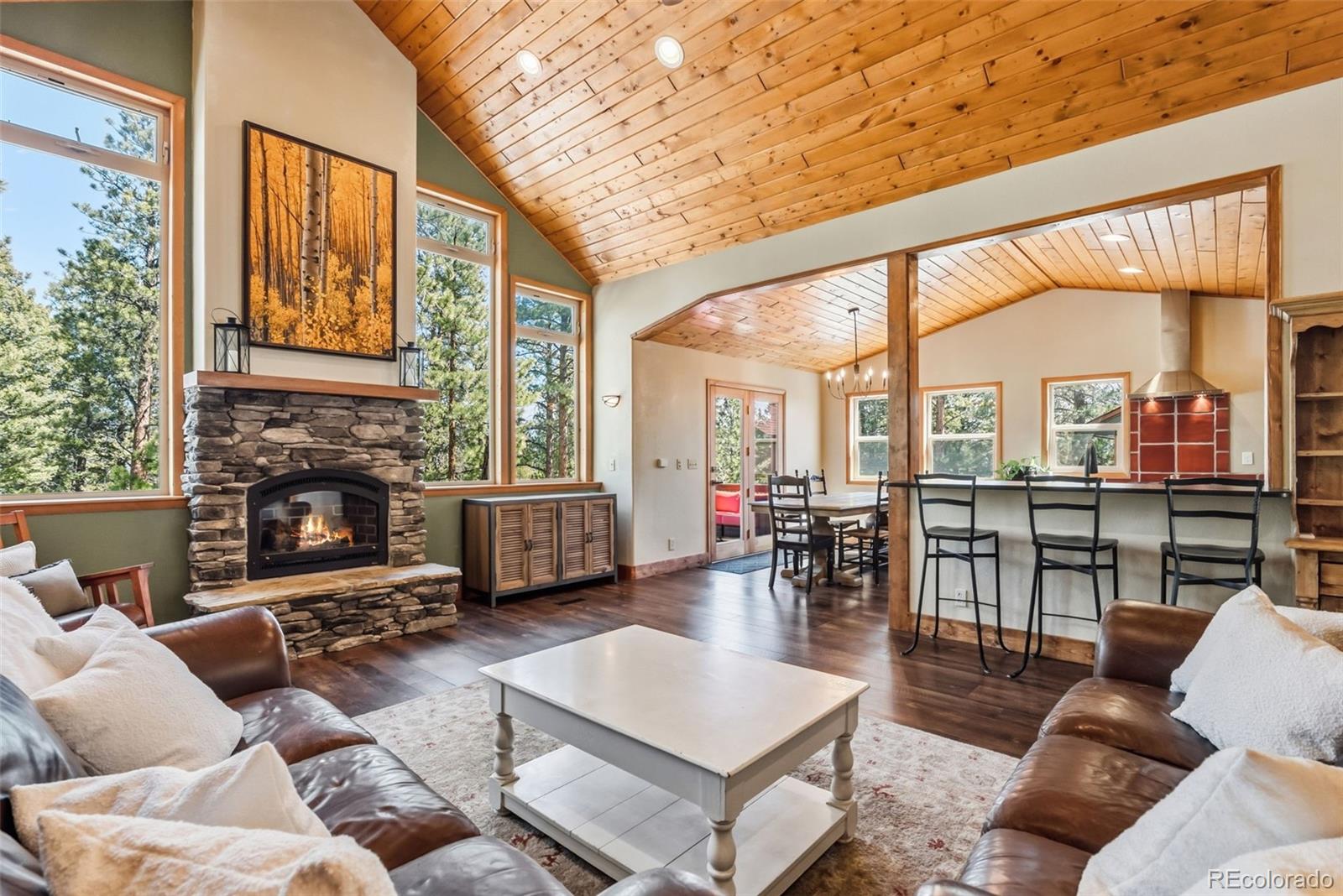 30477 Harvard Circle Buena Vista CO 81211