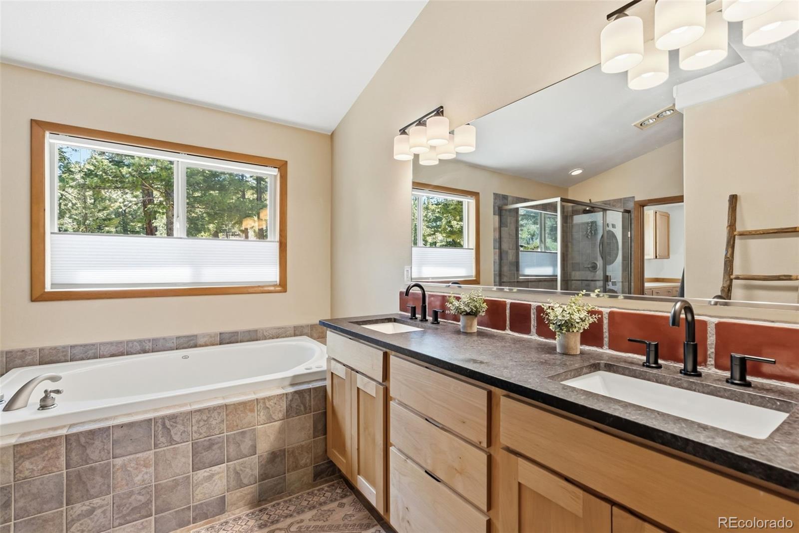 30477 Harvard Circle Buena Vista CO 81211