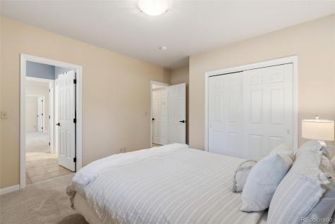 30477 Harvard Circle Buena Vista CO 81211