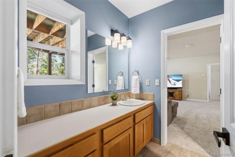 30477 Harvard Circle Buena Vista CO 81211