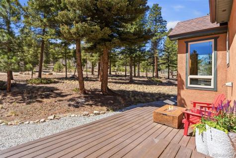 30477 Harvard Circle Buena Vista CO 81211
