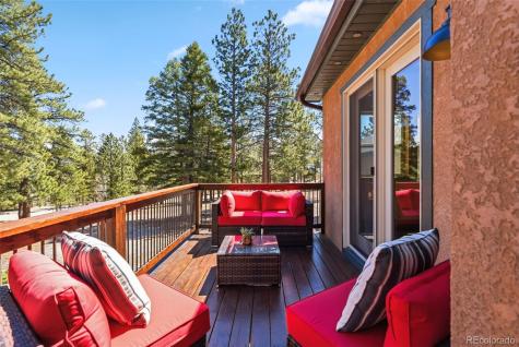 30477 Harvard Circle Buena Vista CO 81211