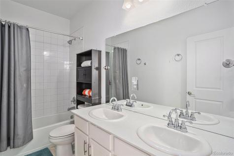 1830 Thrive Drive Windsor CO 80550