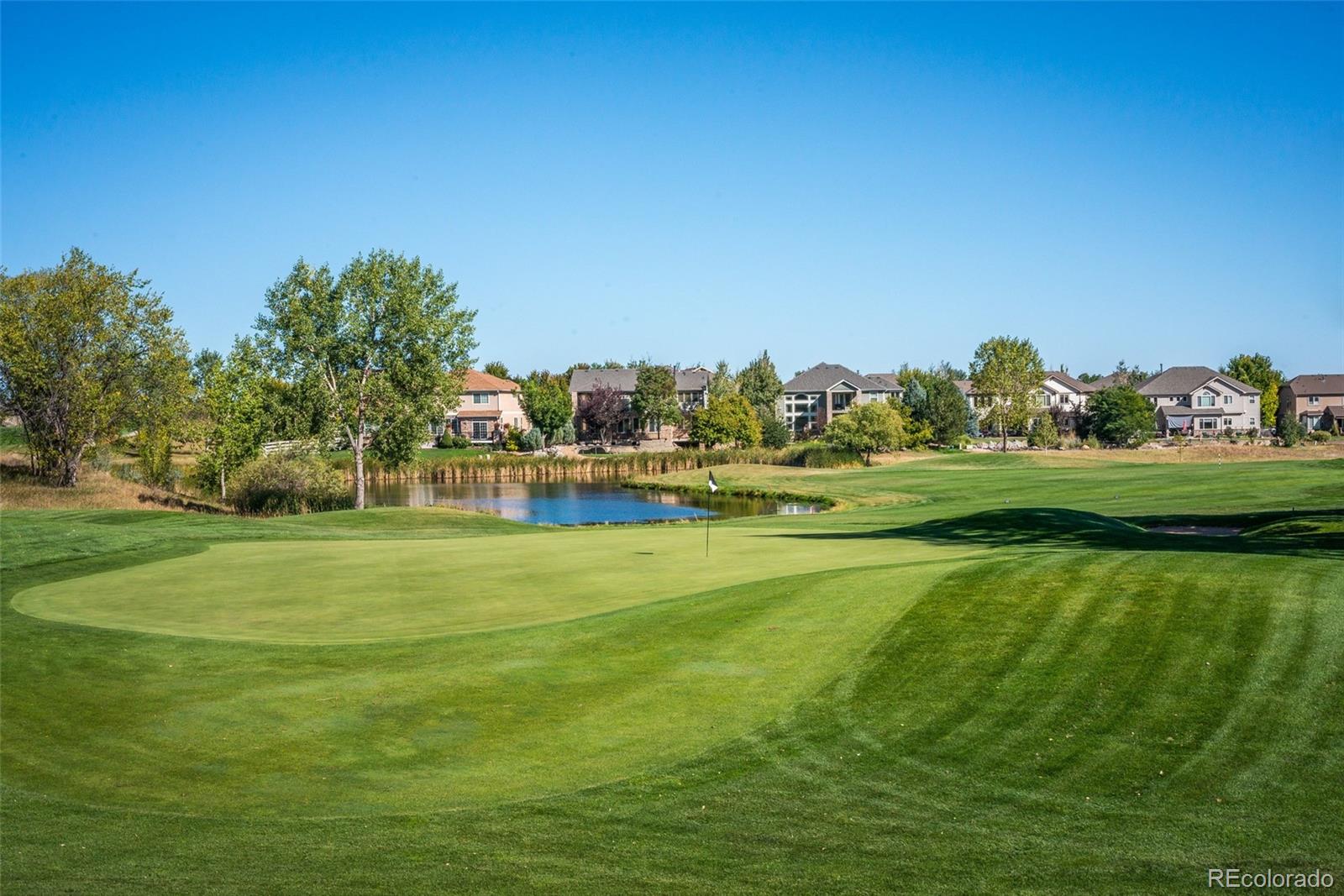 14152 Adam Court Broomfield CO 80023
