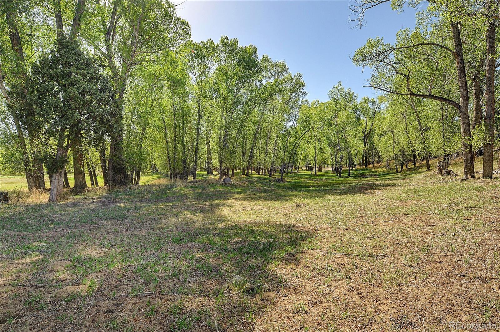 15380 County Road 350 Buena Vista CO 81211