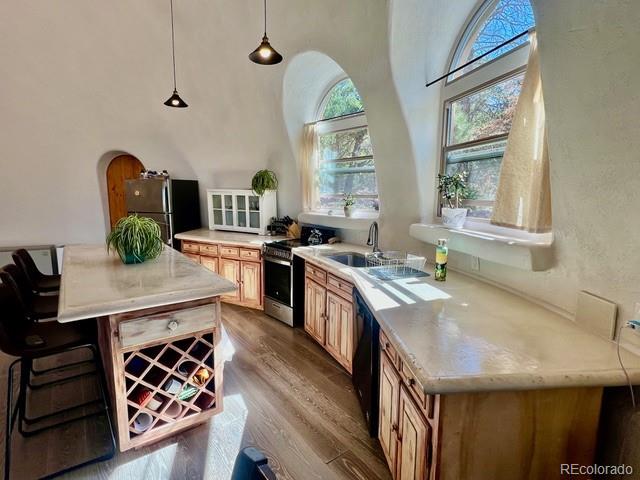 408 N Chaparral Way Crestone CO 81131
