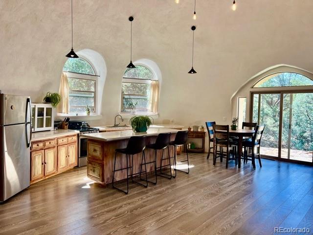 408 N Chaparral Way Crestone CO 81131