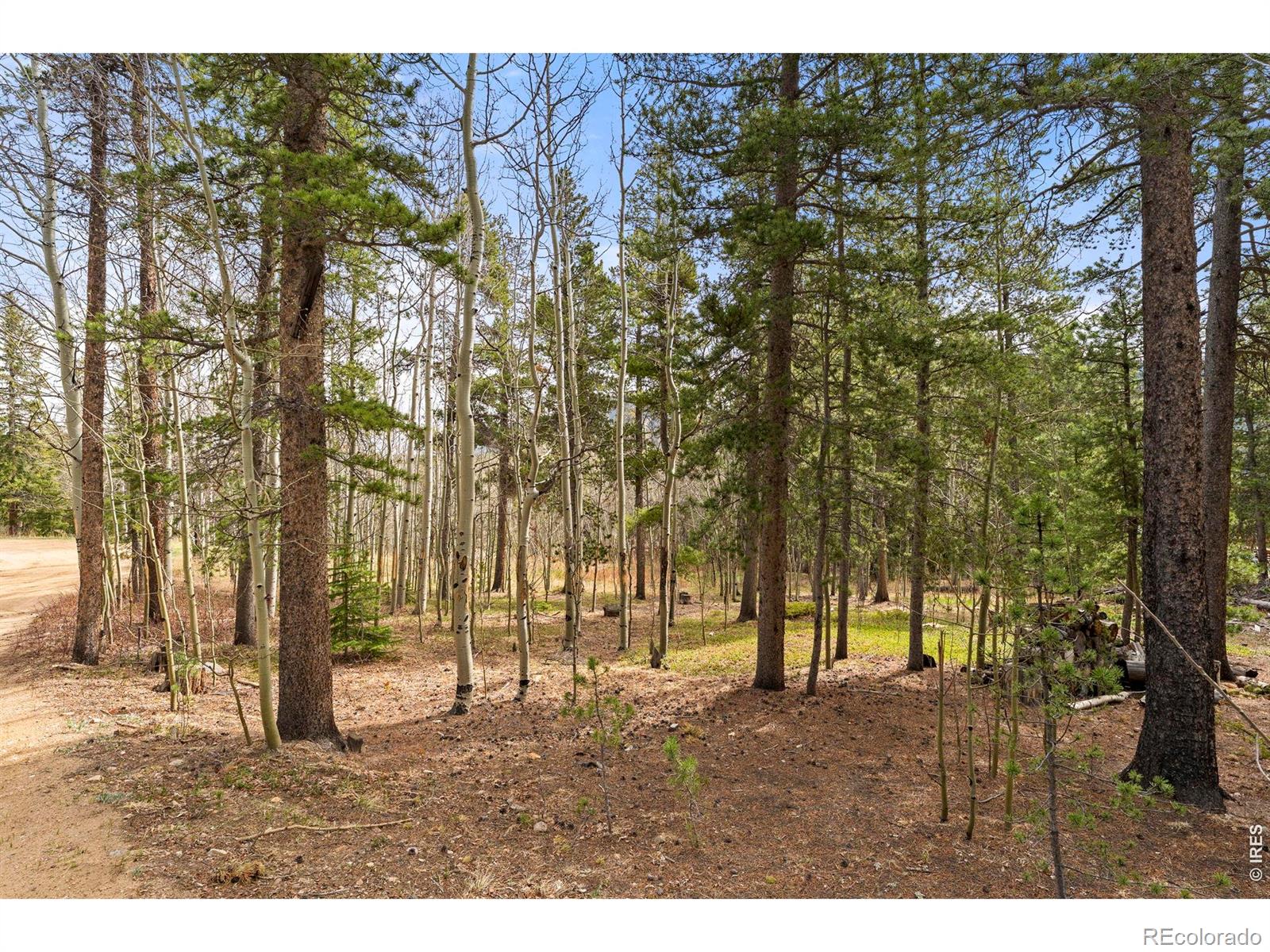418 Athena Road Black Hawk CO 80422
