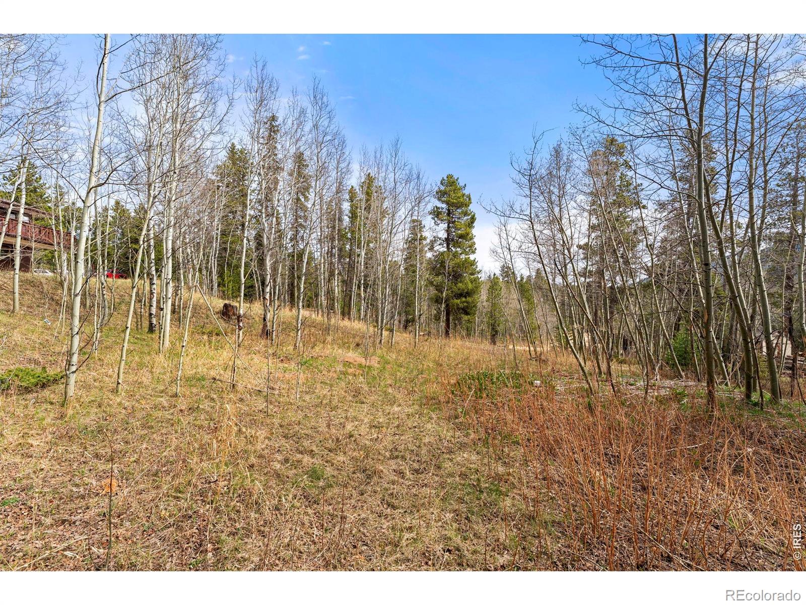 418 Athena Road Black Hawk CO 80422