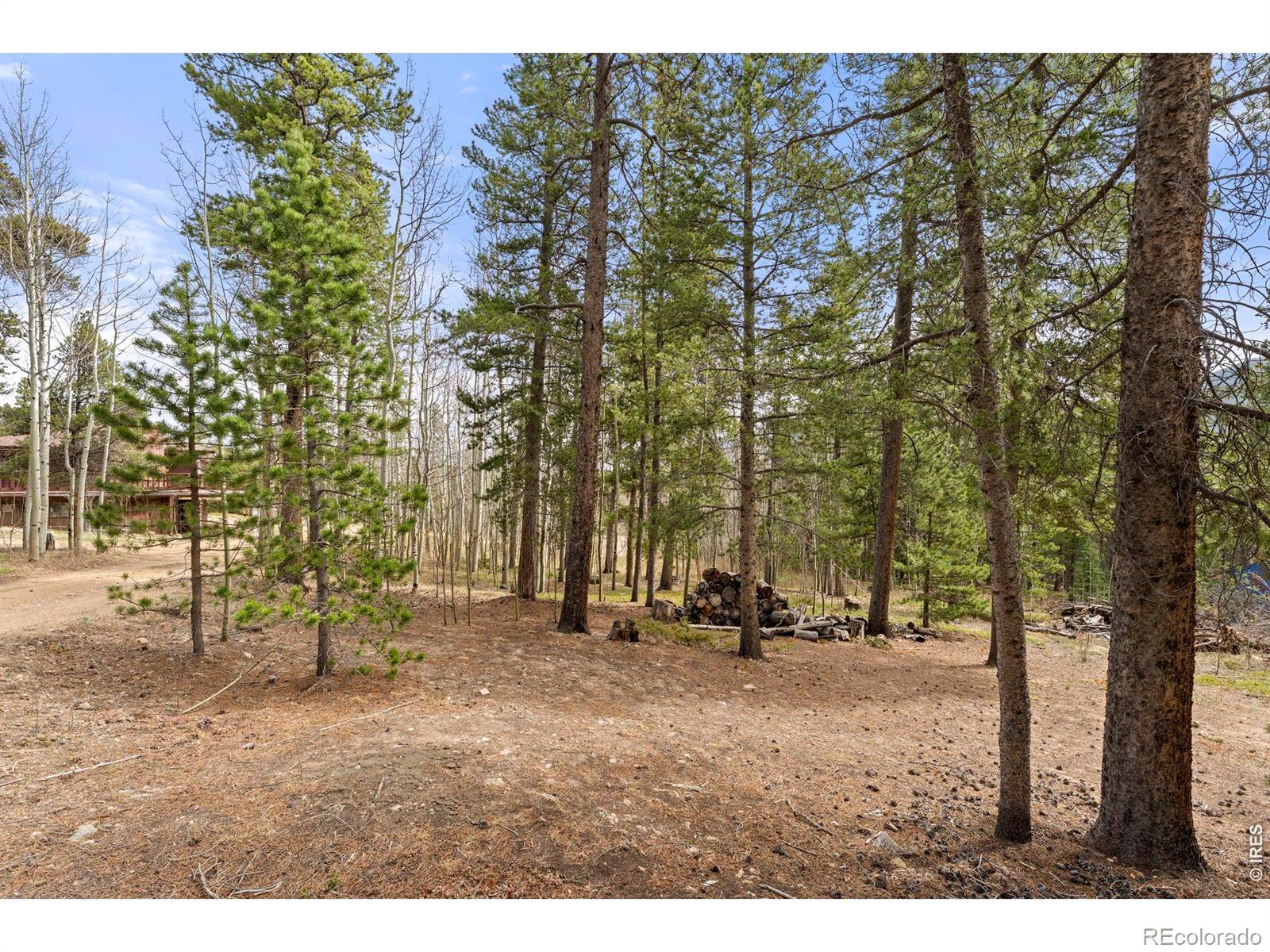 418 Athena Road Black Hawk CO 80422