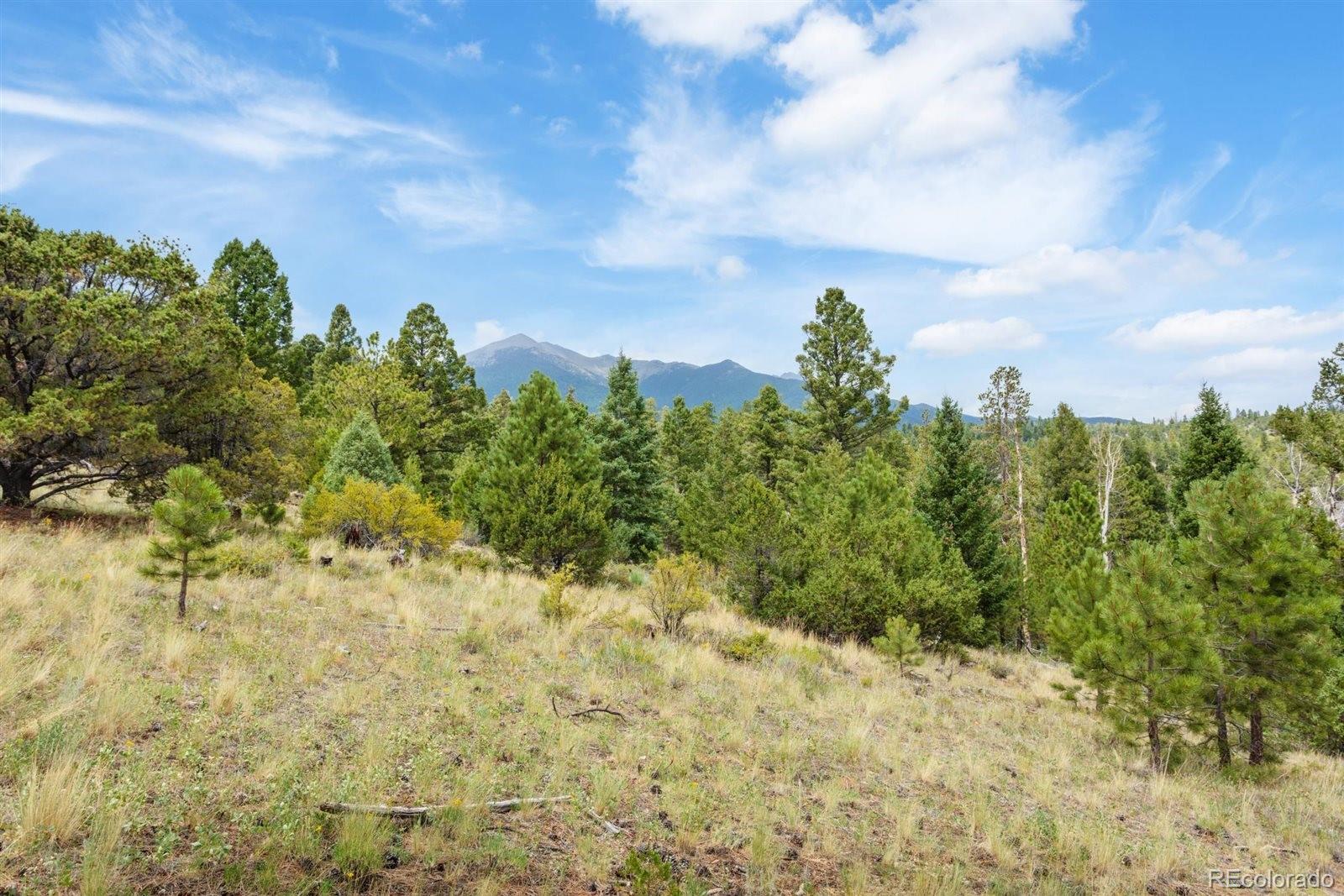 13600 County Road 251 Salida CO 81201