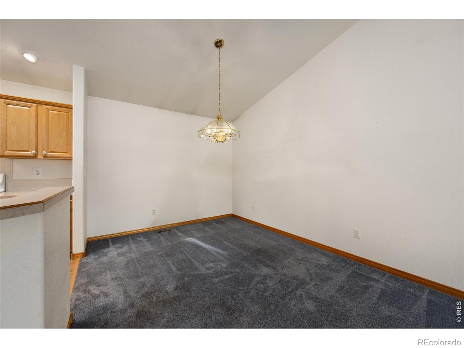 900 Arbor Avenue Fort Collins CO 80526
