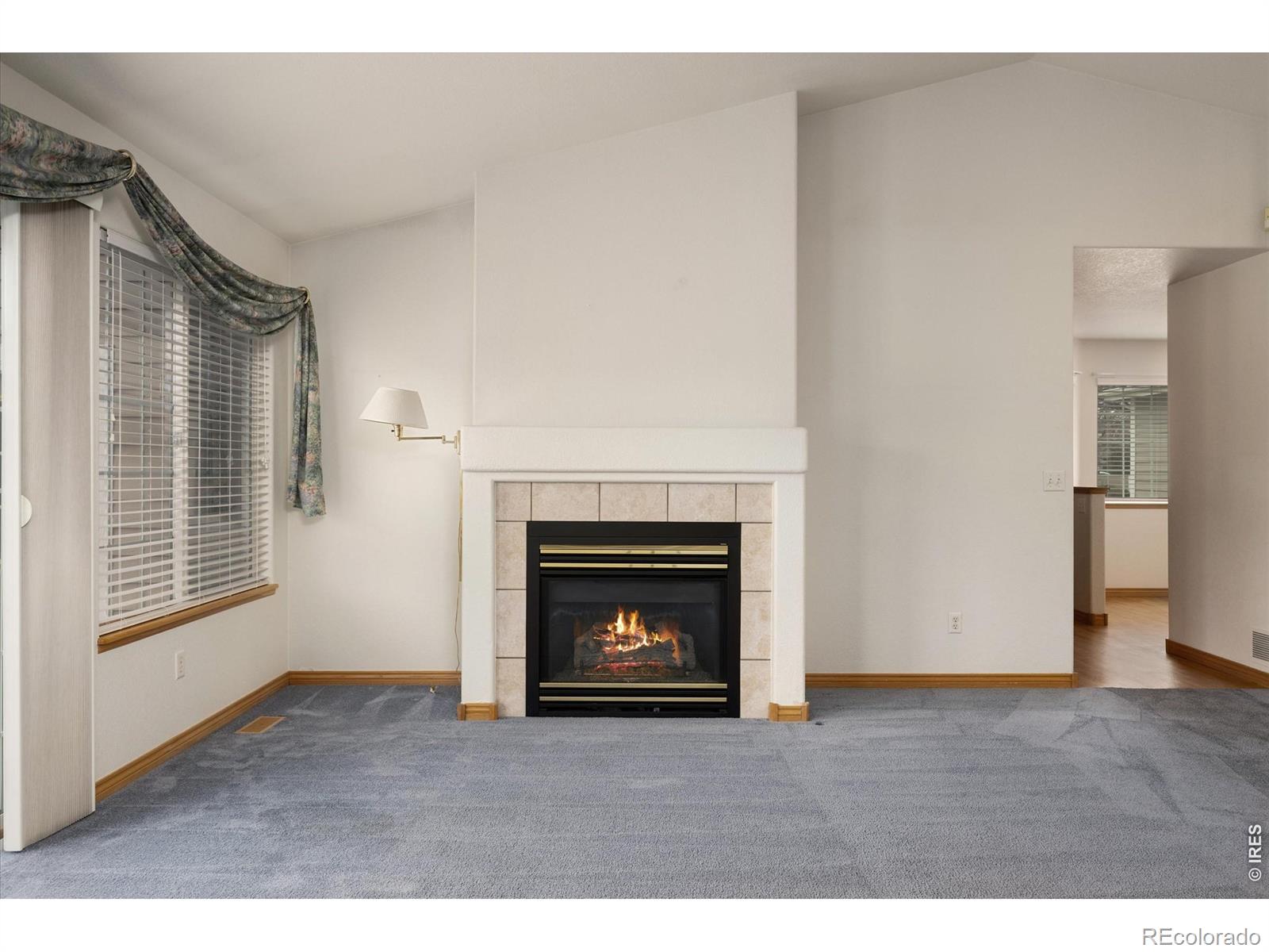 900 Arbor Avenue Fort Collins CO 80526
