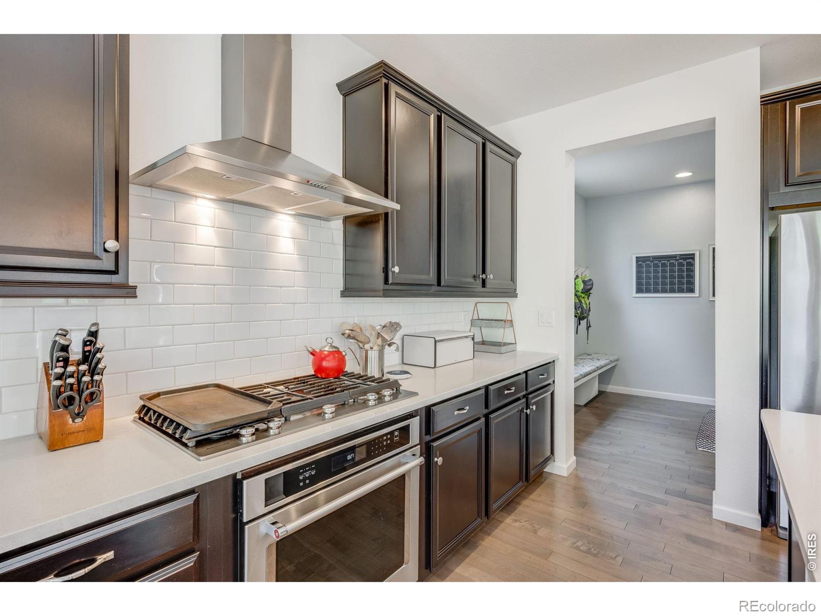 4103 Saltbrush Court Loveland CO 80538
