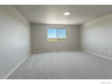 764 Trumpet Court Windsor CO 80550