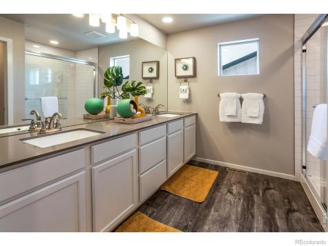 764 Trumpet Court Windsor CO 80550