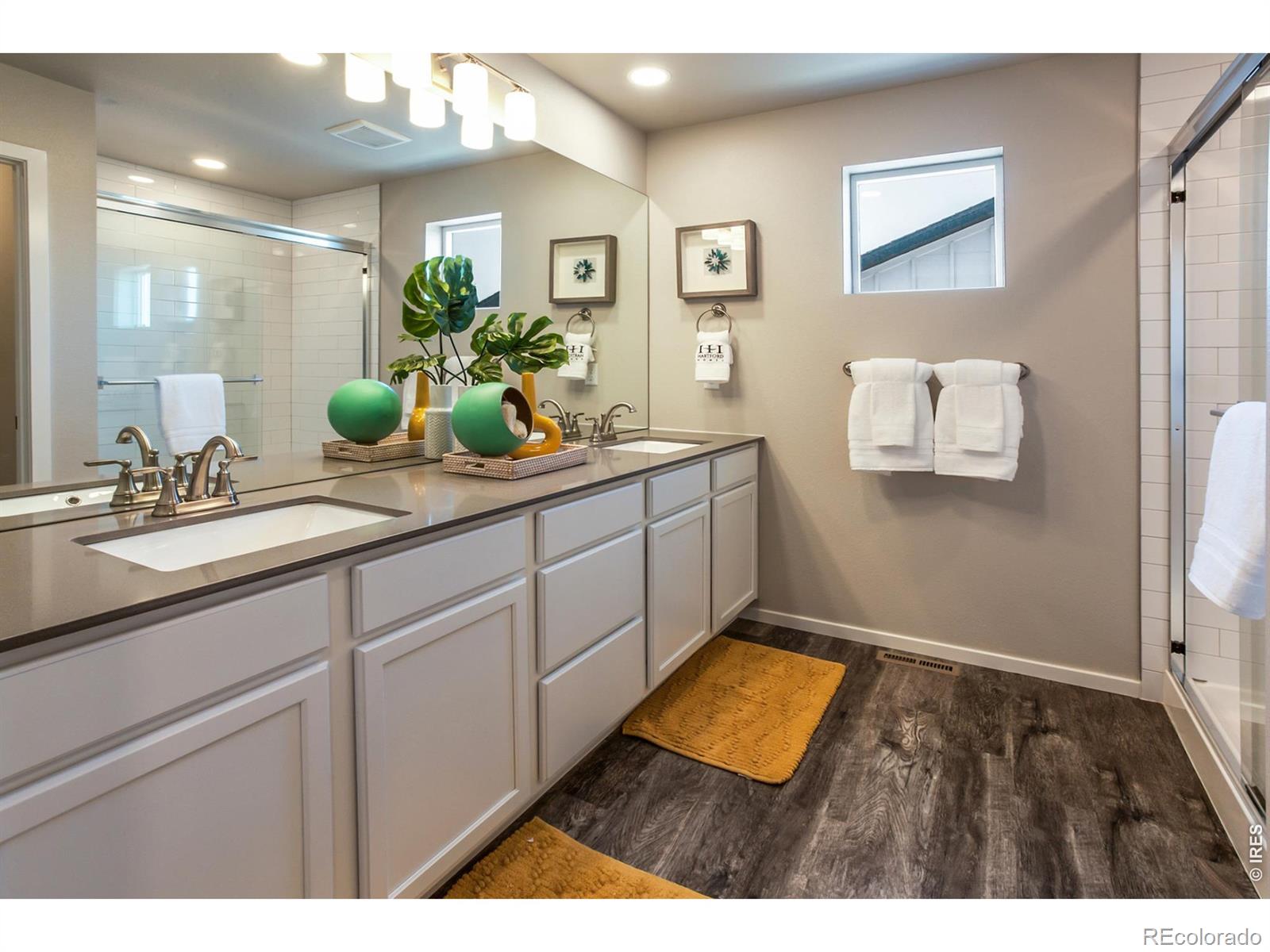 764 Trumpet Court Windsor CO 80550
