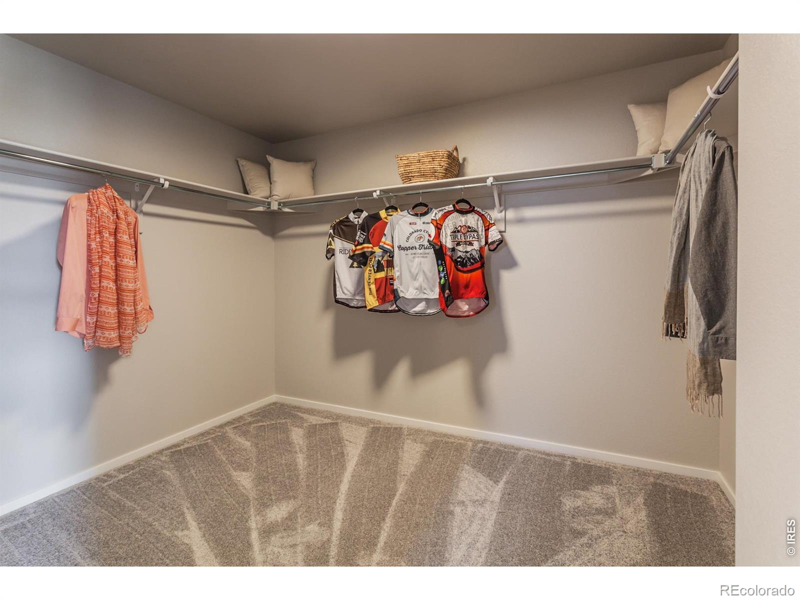 764 Trumpet Court Windsor CO 80550