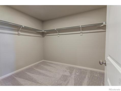 764 Trumpet Court Windsor CO 80550