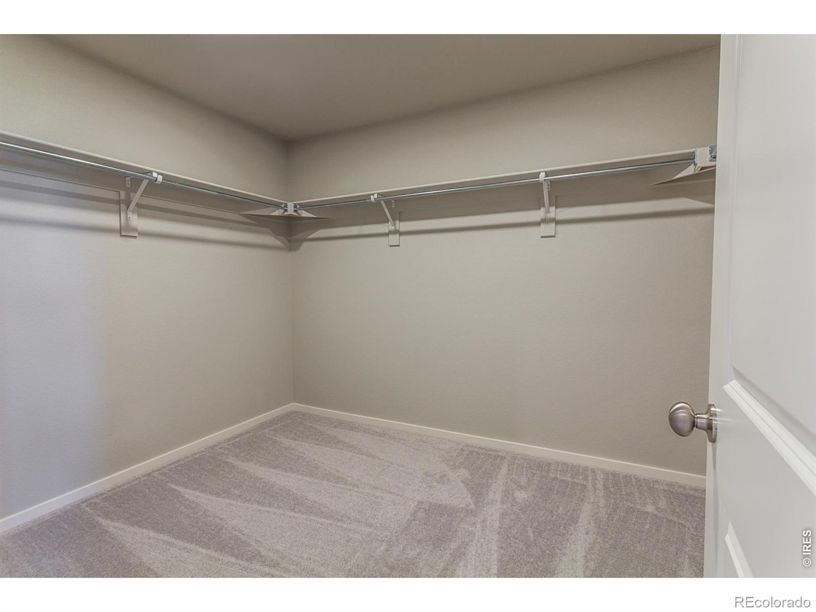 764 Trumpet Court Windsor CO 80550