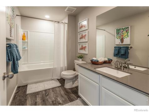 764 Trumpet Court Windsor CO 80550