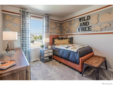 764 Trumpet Court Windsor CO 80550