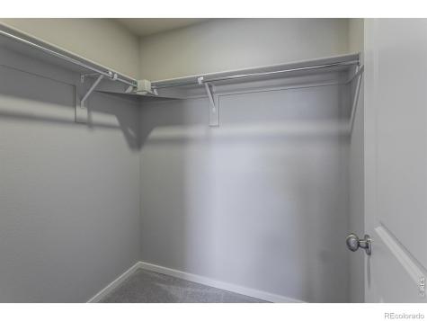 764 Trumpet Court Windsor CO 80550
