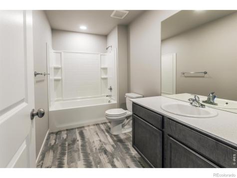 764 Trumpet Court Windsor CO 80550