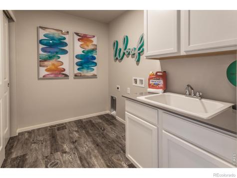 764 Trumpet Court Windsor CO 80550