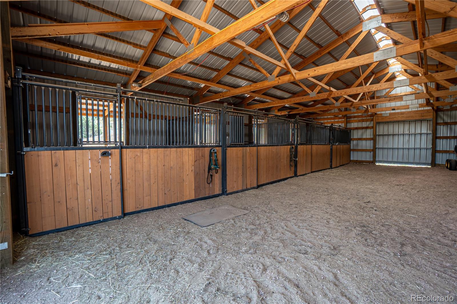 1388 Mount Moriah Road Livermore CO 80536