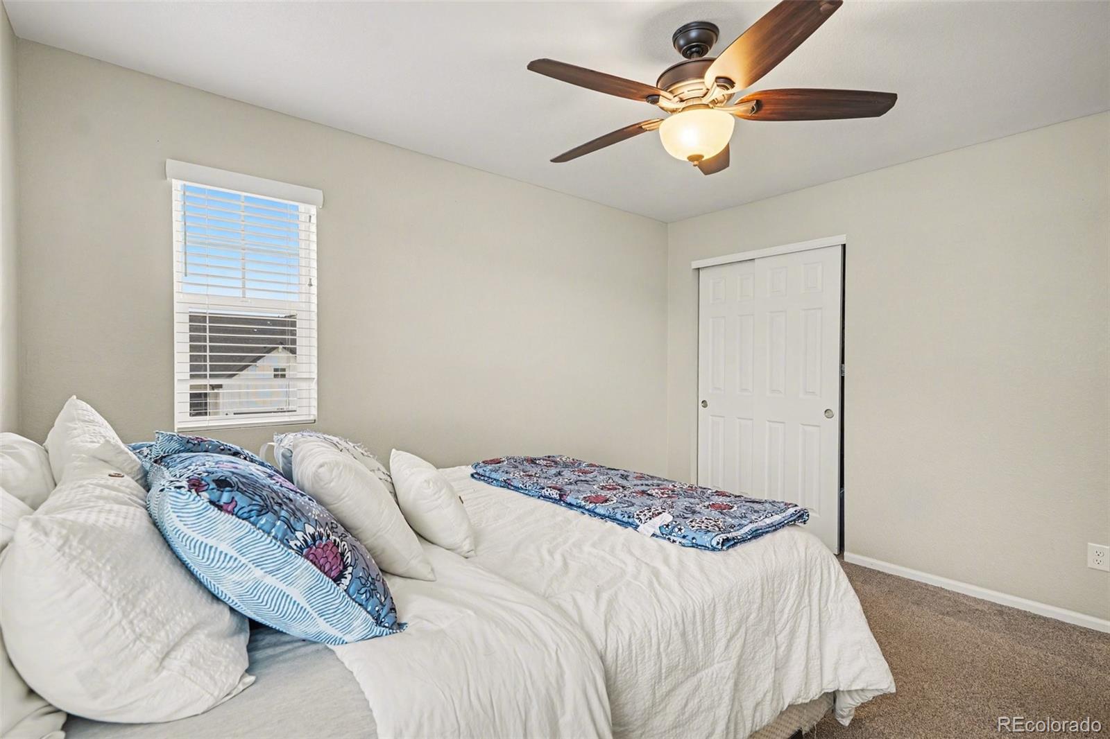 2557 Villageview Lane Castle Rock CO 80104