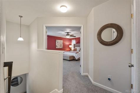 1378 Willow Oak Road Castle Rock CO 80104