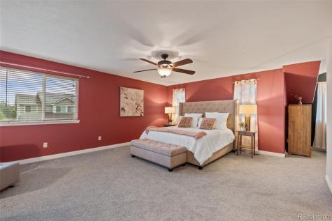 1378 Willow Oak Road Castle Rock CO 80104