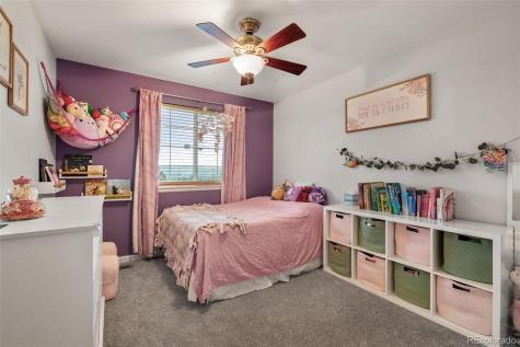 1378 Willow Oak Road Castle Rock CO 80104