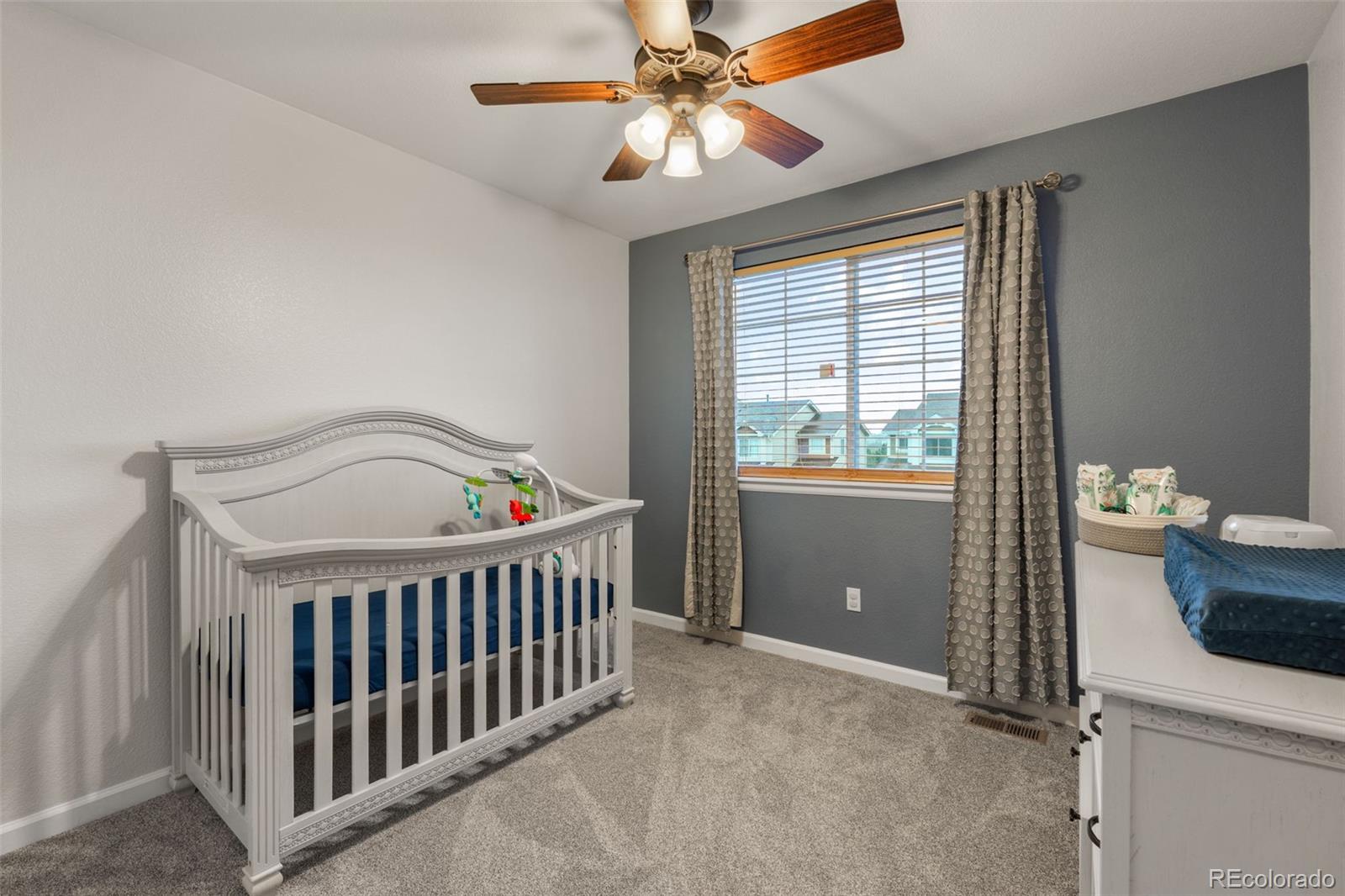 1378 Willow Oak Road Castle Rock CO 80104