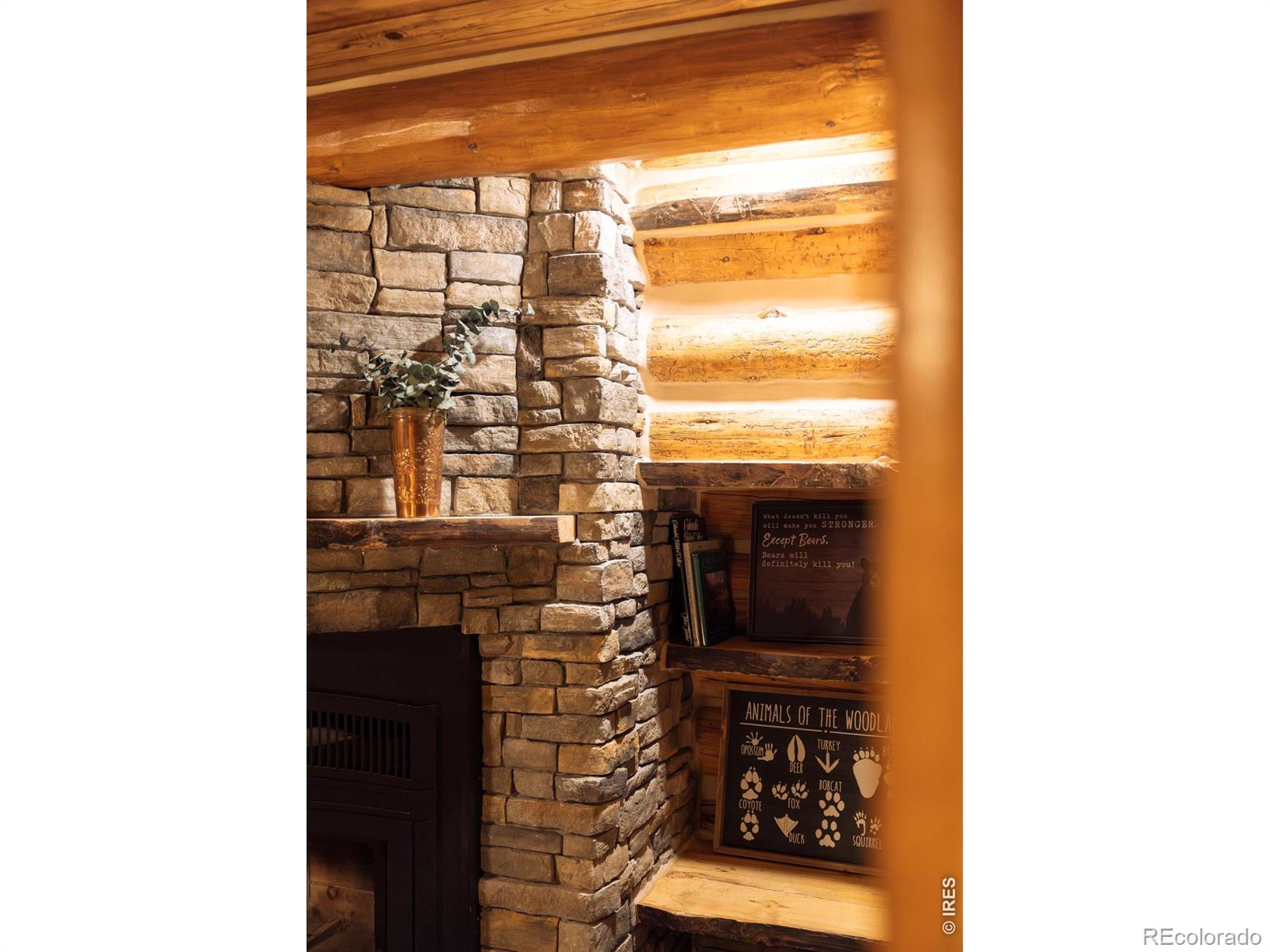 14142 N Saint Vrain Drive Lyons CO 80540