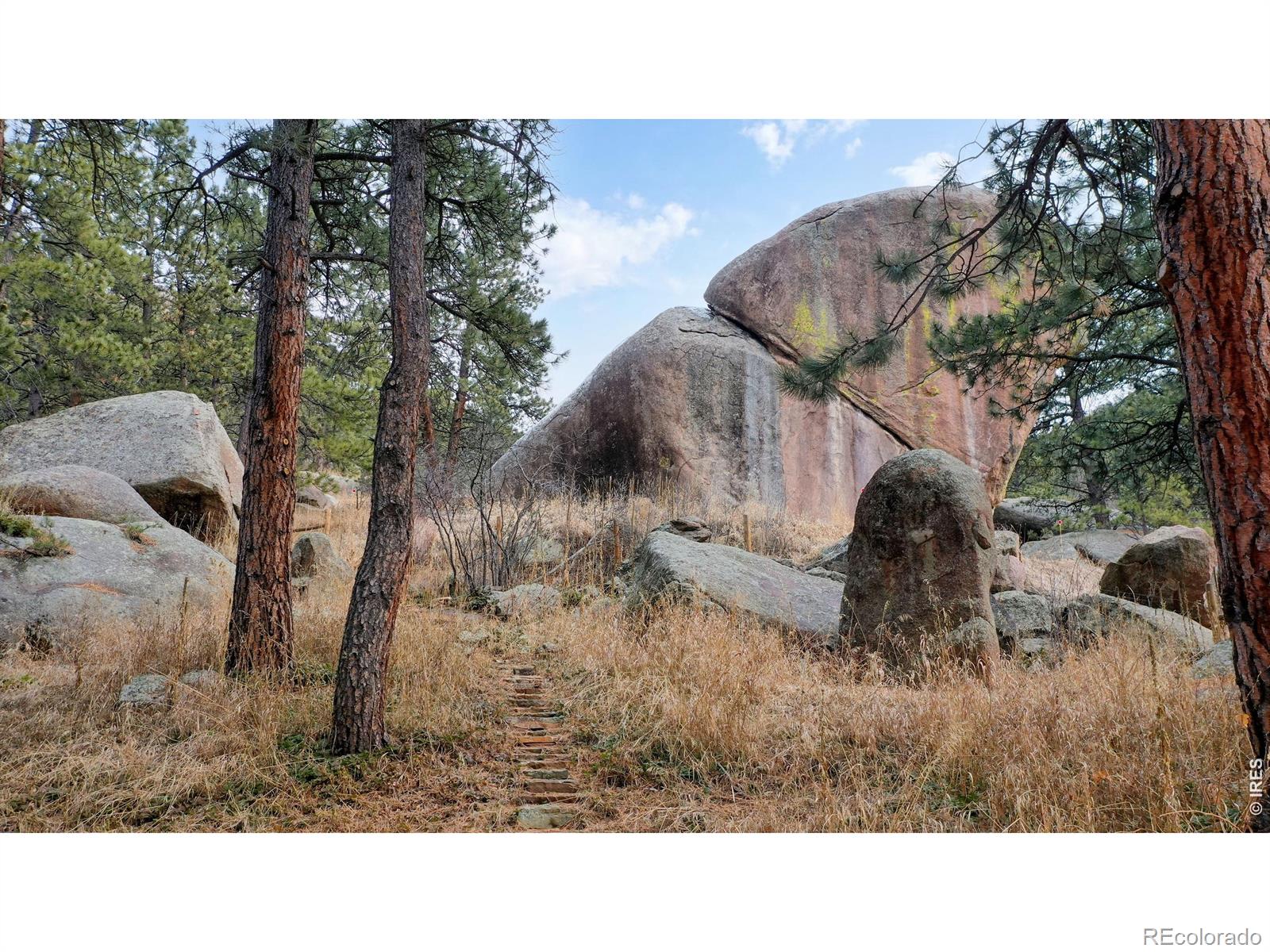 14142 N Saint Vrain Drive Lyons CO 80540