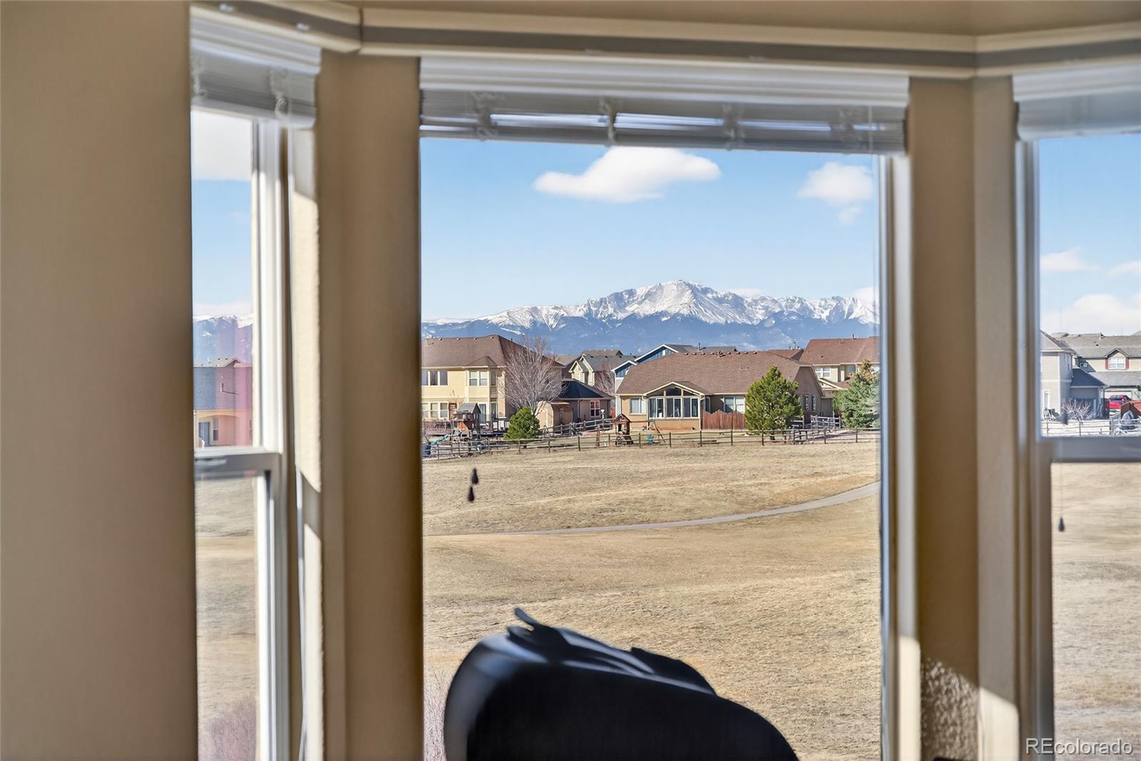10862 Torreys Peak Way Peyton CO 80831