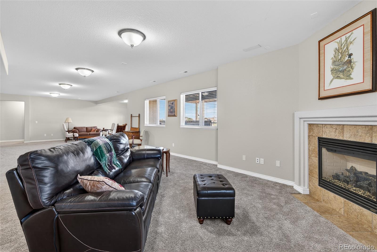 10862 Torreys Peak Way Peyton CO 80831