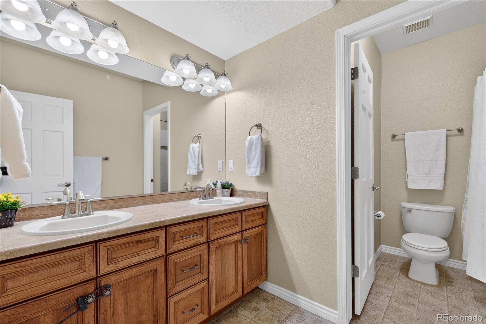 10862 Torreys Peak Way Peyton CO 80831