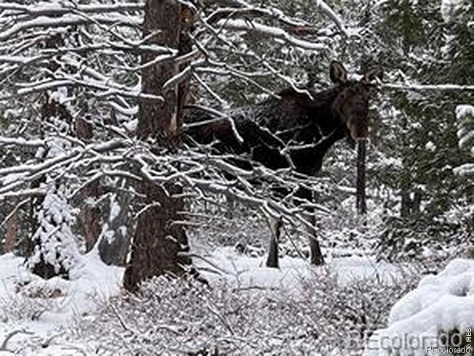 746 Riverside Drive Lyons CO 80540