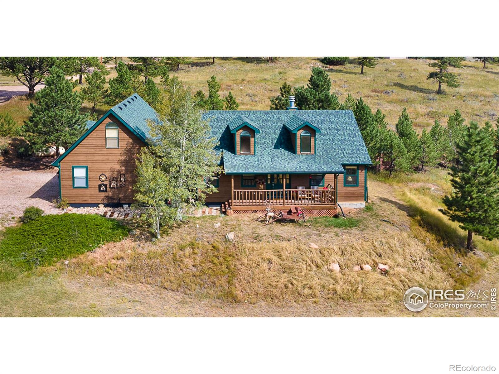 98 Deadhorse Mountain Court Livermore CO 80536