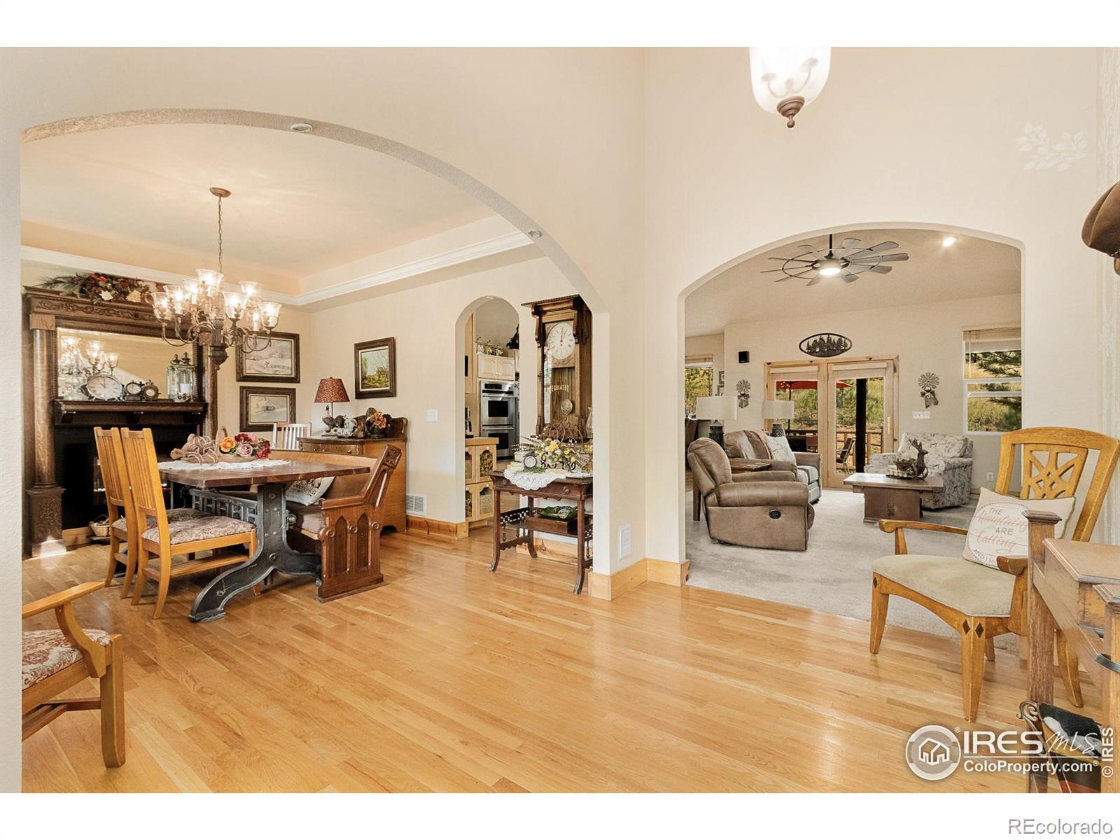 98 Deadhorse Mountain Court Livermore CO 80536