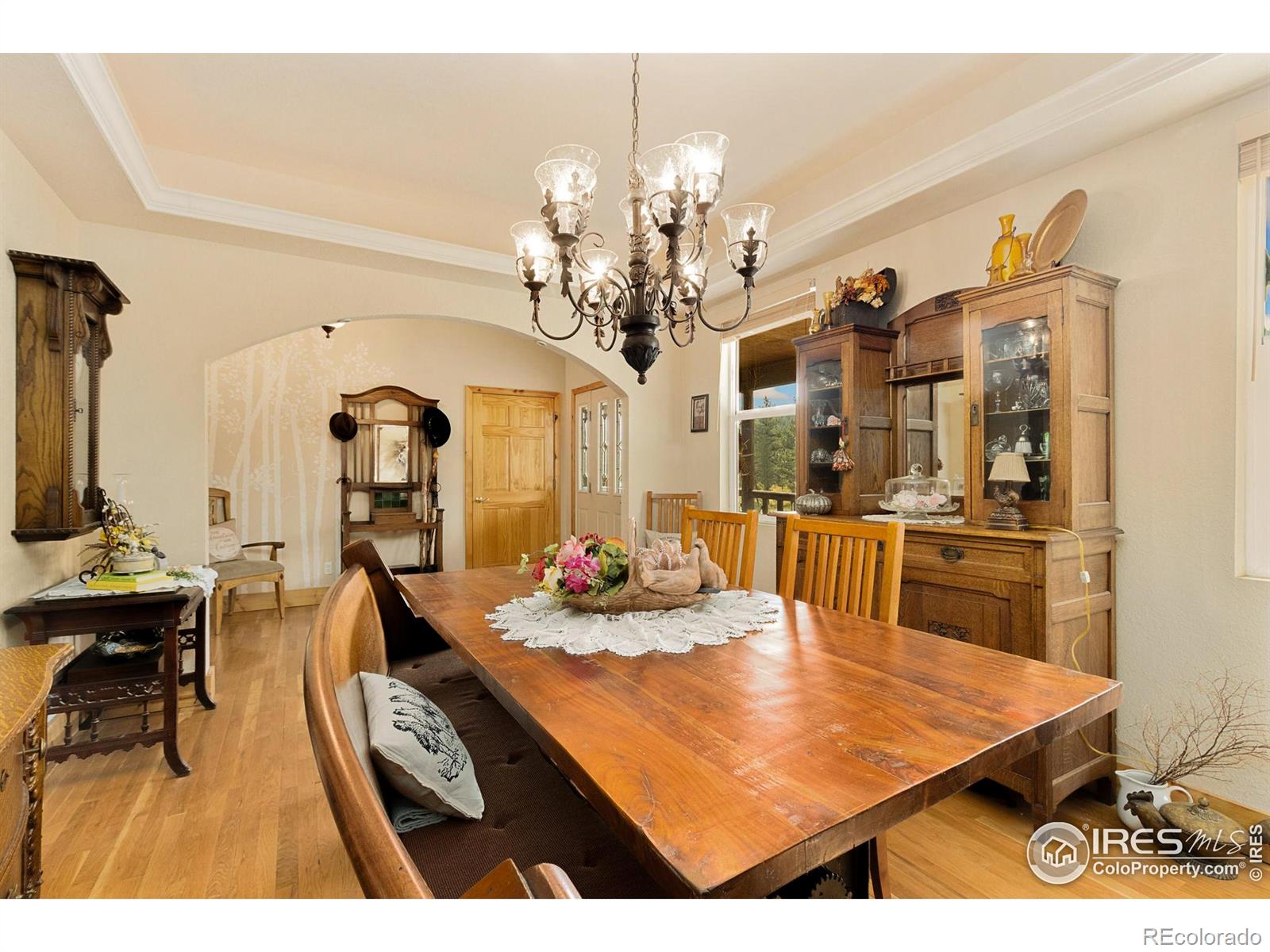 98 Deadhorse Mountain Court Livermore CO 80536